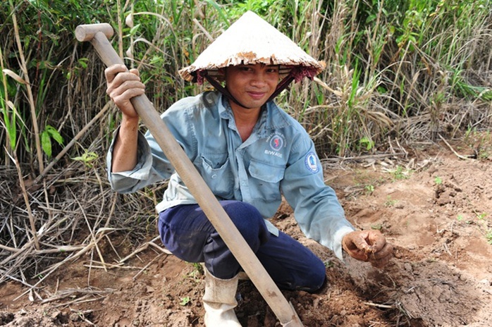 Săn dế cơm, kiếm 300 ngàn đồng/ngày như chơi - Ảnh 5.