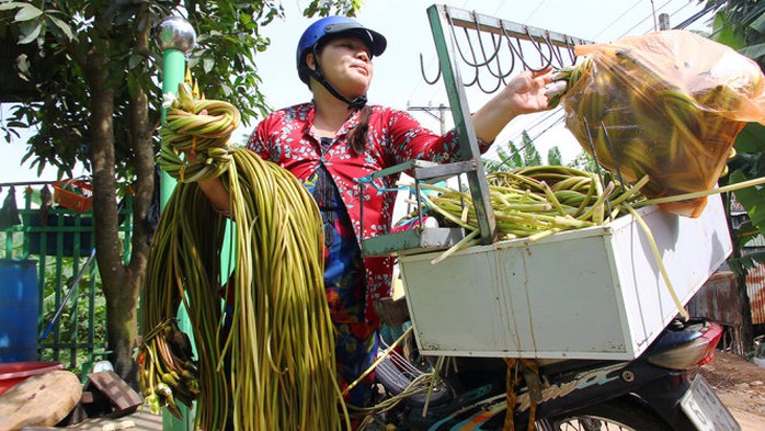 Chộn rộn miền Tây mùa nước đang nổi  - Ảnh 5.