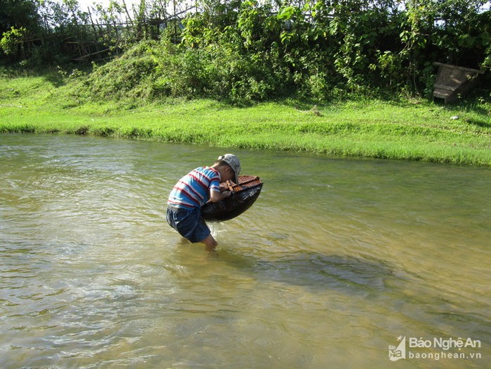 Chiêu độc săn cá suối của trẻ em vùng cao Nghệ An - Ảnh 5.