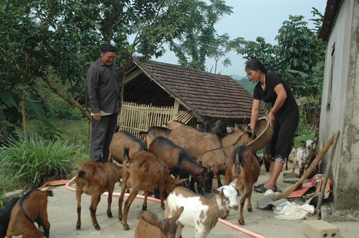 Cặp vợ chồng lâm tặc và trang trại tiền tỉ - Ảnh 2.