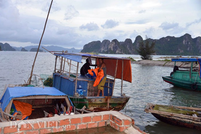 Tận mắt thấy cao thủ săn con cù kỳ nức tiếng ở vịnh Bái Tử Long - Ảnh 2. Tận mắt thấy cao thủ săn con cù kỳ nức tiếng ở vịnh Bái Tử Long - Ảnh 2.