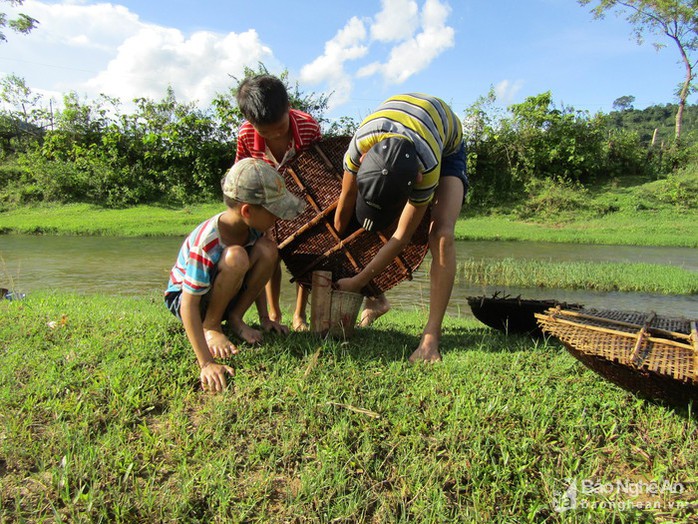 Chiêu độc săn cá suối của trẻ em vùng cao Nghệ An - Ảnh 7.