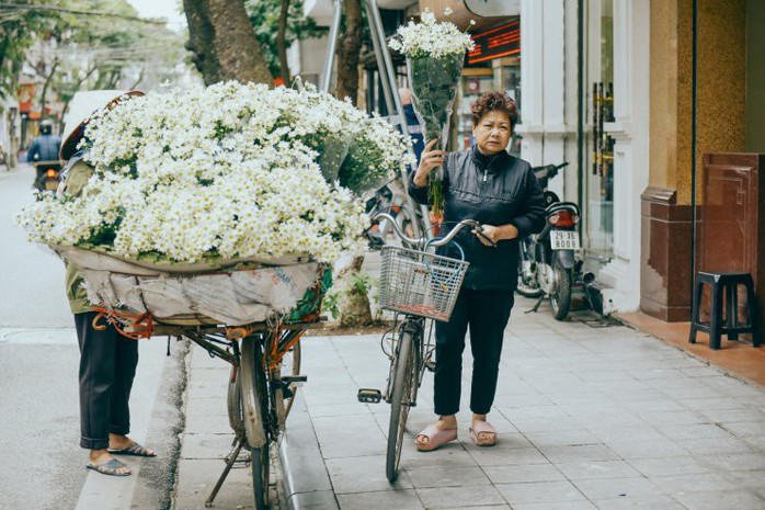 Có một mùa cúc họa mi đẹp ngỡ ngàng theo về trên phố - Ảnh 7. Có một mùa cúc họa mi đẹp ngỡ ngàng theo về trên phố - Ảnh 7.