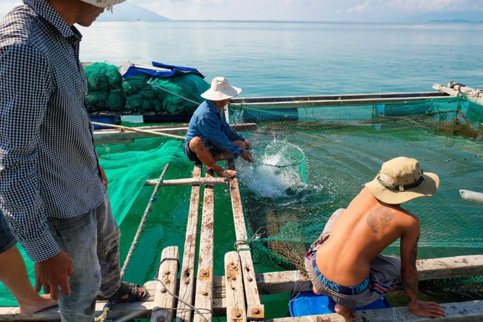 Mê mẩn với vẻ đẹp và hải sản Hòn Lớn - Ảnh 8.