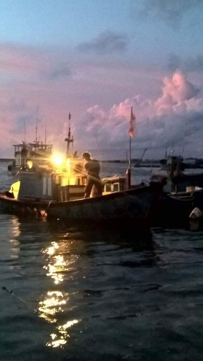 Tạm giữ 2 tàu cá sử dụng súng điện khai thác trái phép ven đảo Lý Sơn - Ảnh 2.