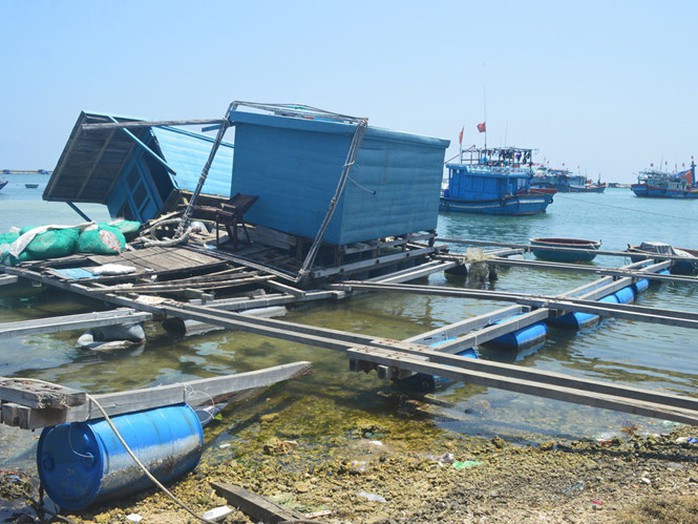 Dân đảo Lý Sơn kéo lồng bè vào bờ bỏ hoang ẢNH: HIỂN CỪ