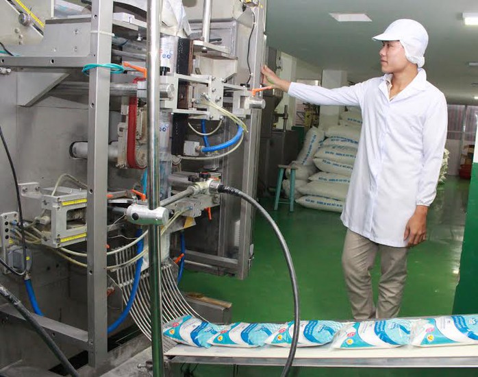 Tiềm năng nào cho cổ phiếu BHS? - Ảnh 1.