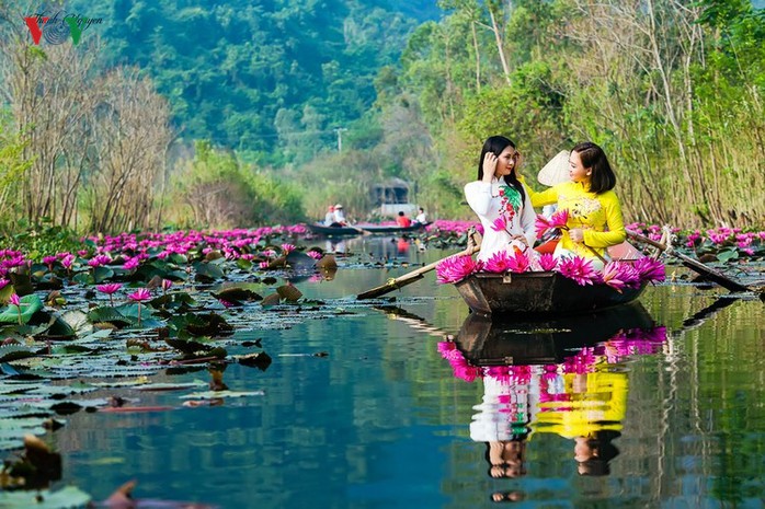 Suối Yến đẹp lãng mạn mùa hoa súng nở - Ảnh 9. Suối Yến đẹp lãng mạn mùa hoa súng nở - Ảnh 9.