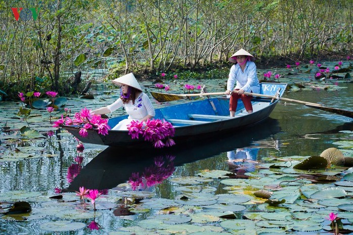 Suối Yến đẹp lãng mạn mùa hoa súng nở - Ảnh 7. Suối Yến đẹp lãng mạn mùa hoa súng nở - Ảnh 7.