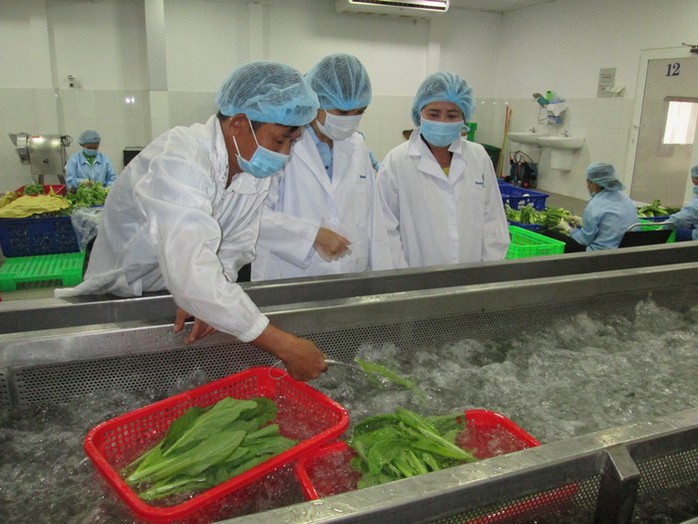 Rau sạch mất đơn hàng vì lệnh cấm xe - Ảnh 1. Rau sạch mất đơn hàng vì lệnh cấm xe - Ảnh 1.