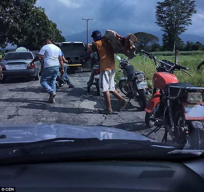 Venezuela: Người dân ném chết gia súc để lấy cái ăn - Ảnh 3.