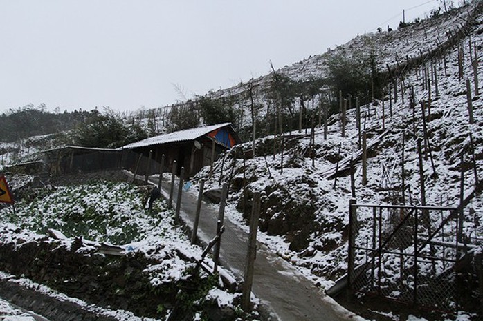 Tuyết rơi dày tại thác Bạc, Ô Quí Hồ (Sa Pa) sáng 31-1 - Ảnh 4.