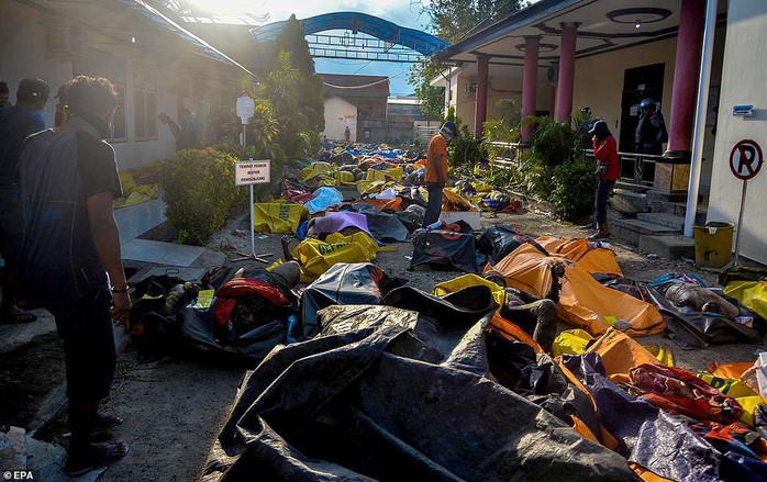 Thảm họa sóng thần Indonesia: Lần tìm người thân trong túi đựng thi thể - Ảnh 2.