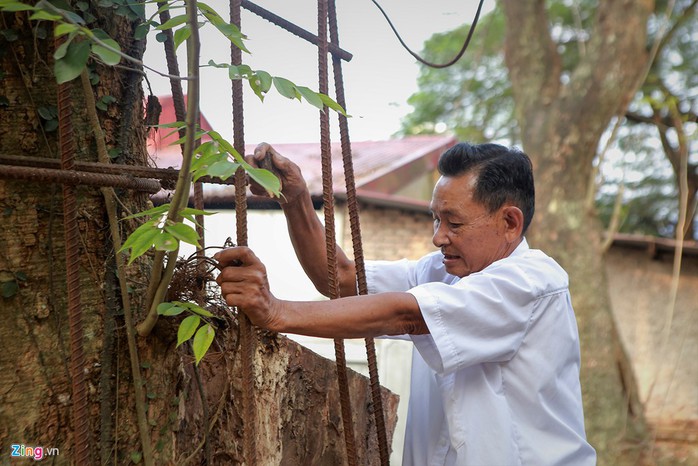 Lý lịch chi tiết của bảo vật có giá 50 tỉ ở chùa Vĩnh Phúc - Ảnh 5.