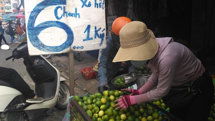 Giá chanh rớt mức thấp nhất trong năm - Ảnh 1. Giá chanh rớt mức thấp nhất trong năm - Ảnh 1.