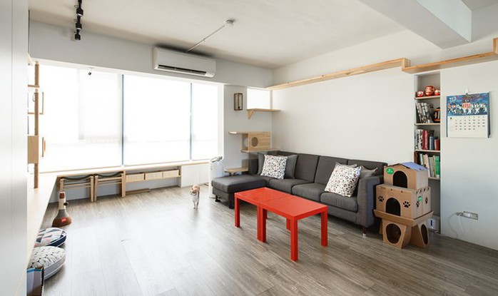 Căn hộ thân thiện dành cho những người yêu mèo - Ảnh 2. Căn hộ thân thiện dành cho những người yêu mèo - Ảnh 2.