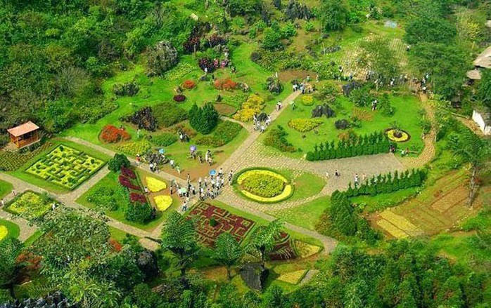 Đến Sa Pa vui say trong lễ hội tam giác mạch - Ảnh 4. Đến Sa Pa vui say trong lễ hội tam giác mạch - Ảnh 4.