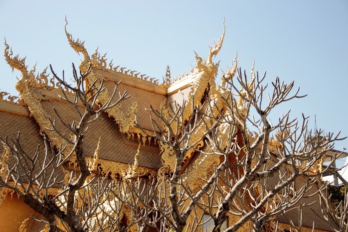 Nhà vệ sinh công cộng đẹp như cung điện dát vàng - Ảnh 5. Nhà vệ sinh công cộng đẹp như cung điện dát vàng - Ảnh 5.