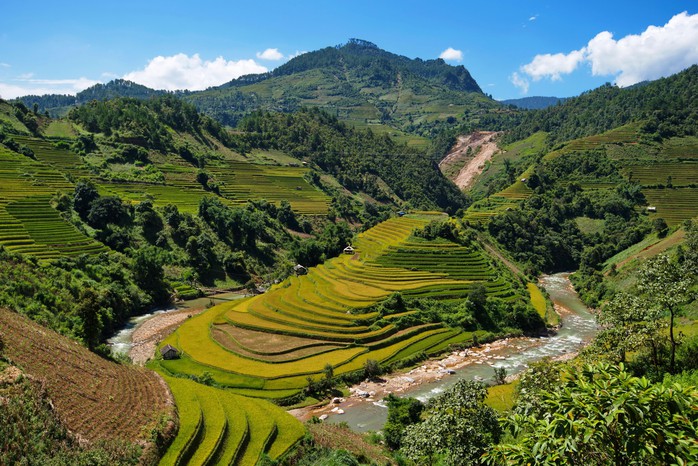 Rộn ràng mùa vàng Tây Bắc - Ảnh 1. Rộn ràng mùa vàng Tây Bắc - Ảnh 1.