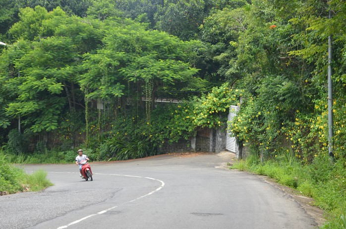 Những bí mật của Vũ nhôm” ở bán đảo Sơn Trà đang dần hé lộ - Ảnh 1.