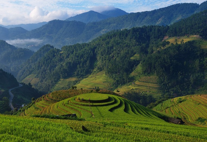 Rộn ràng mùa vàng Tây Bắc - Ảnh 4. Rộn ràng mùa vàng Tây Bắc - Ảnh 4.