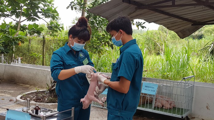 Rèn nghề qua phong trào Bàn tay vàng - Ảnh 1.