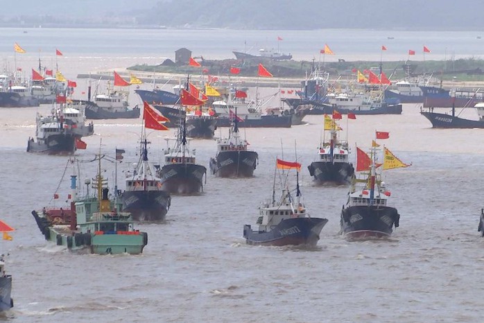 Siêu tàu Trung Quốc vét sạch cá thế giới - Ảnh 1.