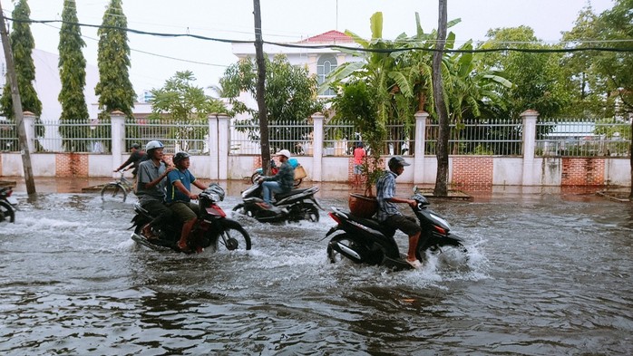 Cà Mau: Đường biến thành “sông” sau cơn mưa như trút nước - Ảnh 3.