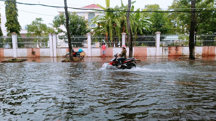 Cà Mau: Đường biến thành “sông” sau cơn mưa như trút nước - Ảnh 1.