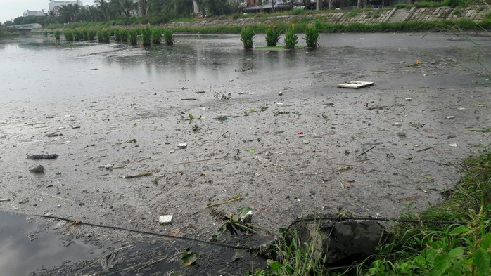 Đà Nẵng: Dân kêu trời vì kênh, hồ điều tiết gây ô nhiễm triền miên - Ảnh 4.