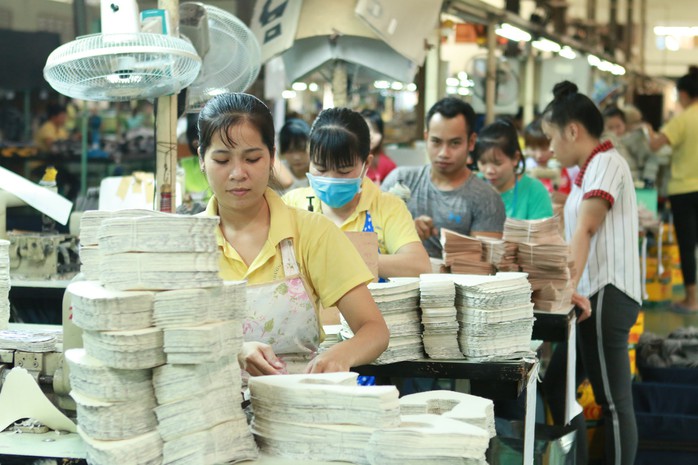 Công ty Trường Lợi: Hàng ngàn công nhân có nguy cơ thất nghiệp - Ảnh 2.