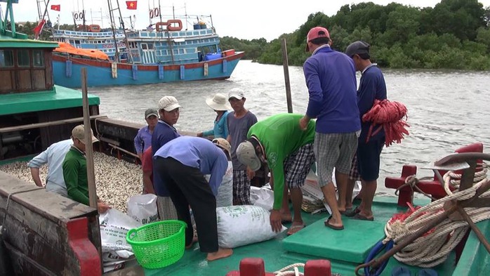 Dân biển Cần Giờ hốt cú chót trước khi tránh bão số 9 - Ảnh 4.