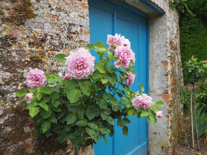 Những ngôi nhà thơ mộng đẹp như cổ tích ở làng quê nước Pháp - Ảnh 1.