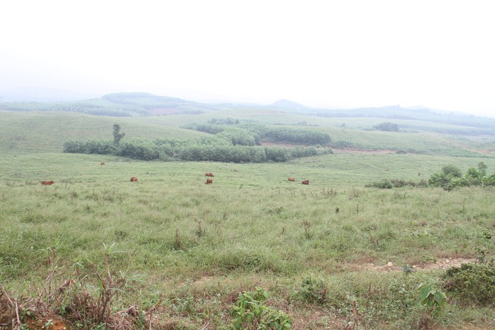 Cận cảnh trại nuôi bò ngàn tỉ “bỏ hoang” có liên quan đến ông Trần Bắc Hà - Ảnh 10.