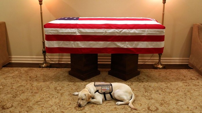 Chuyện xúc động về chó cưng của cố Tổng thống Bush “cha” - Ảnh 1.