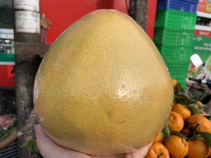 Bưởi Trung Quốc khổng lồ, vỏ vàng bóng tràn về chợ Việt - Ảnh 2. Bưởi Trung Quốc khổng lồ, vỏ vàng bóng tràn về chợ Việt - Ảnh 2.