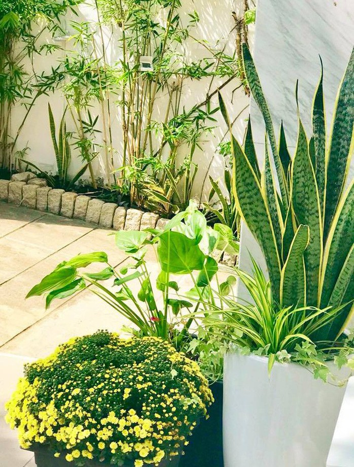 Ngắm biệt thự 21 tỷ của vợ chồng MC Quyền Linh - Ảnh 2. Ngắm biệt thự 21 tỷ của vợ chồng MC Quyền Linh - Ảnh 2.