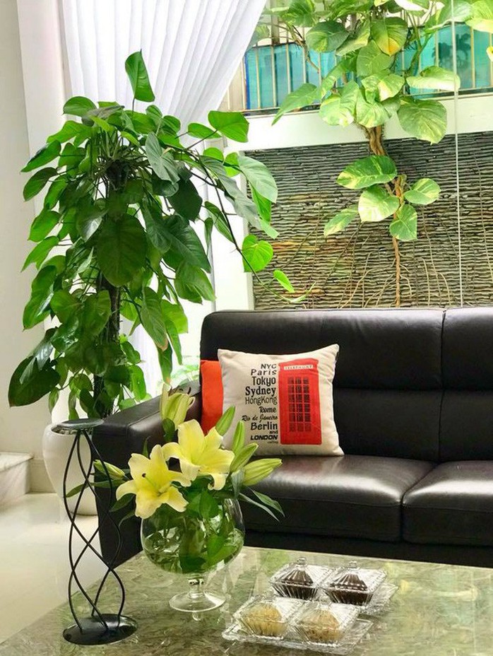 Ngắm biệt thự 21 tỷ của vợ chồng MC Quyền Linh - Ảnh 30. Ngắm biệt thự 21 tỷ của vợ chồng MC Quyền Linh - Ảnh 30.