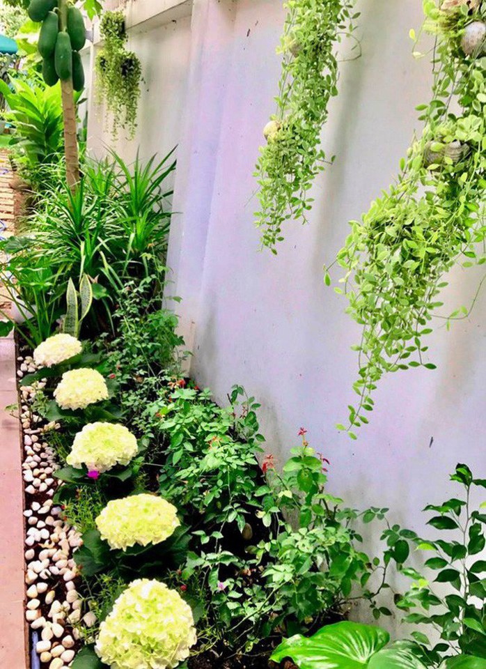Ngắm biệt thự 21 tỷ của vợ chồng MC Quyền Linh - Ảnh 6. Ngắm biệt thự 21 tỷ của vợ chồng MC Quyền Linh - Ảnh 6.