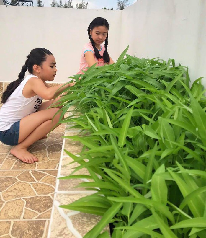 Ngắm biệt thự 21 tỷ của vợ chồng MC Quyền Linh - Ảnh 9. Ngắm biệt thự 21 tỷ của vợ chồng MC Quyền Linh - Ảnh 9.
