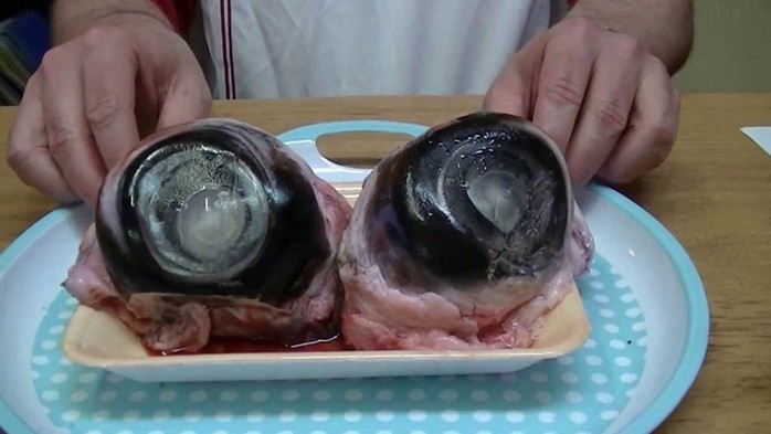 Món đặc sản Phú Yên nhìn phát sợ nhưng lại gây nghiện - Ảnh 5. Món đặc sản Phú Yên nhìn phát sợ nhưng lại gây nghiện - Ảnh 5.