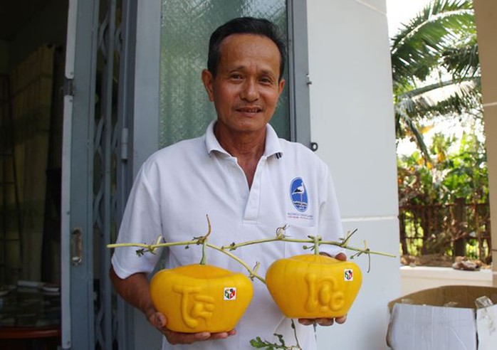 3,5 triệu đồng một trái dưa hấu thỏi vàng chưng Tết - Ảnh 1. 3,5 triệu đồng một trái dưa hấu thỏi vàng chưng Tết - Ảnh 1.