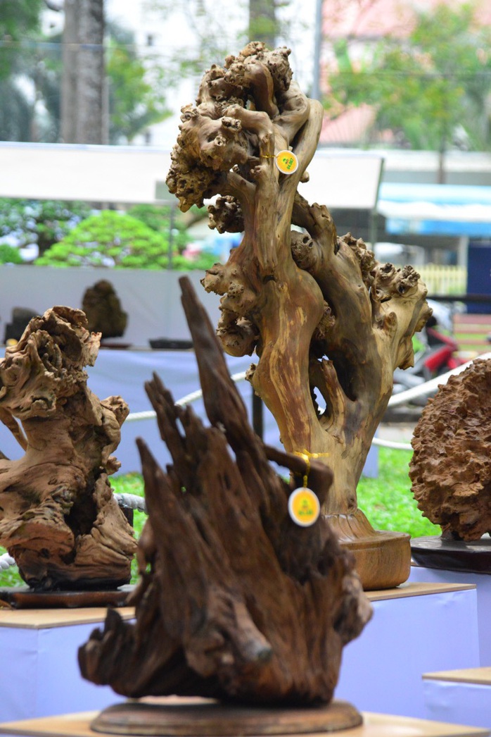 Hội Hoa Xuân TP HCM 2018: Ngất ngây trước kỳ hoa dị thảo - Ảnh 20. Hội Hoa Xuân TP HCM 2018: Ngất ngây trước kỳ hoa dị thảo - Ảnh 20.