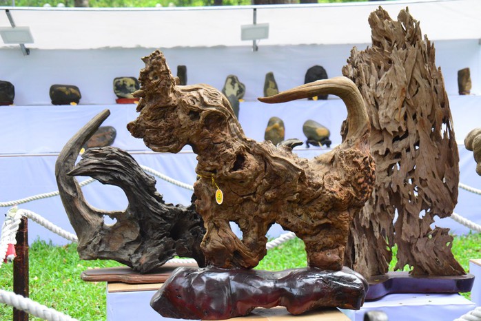 Hội Hoa Xuân TP HCM 2018: Ngất ngây trước kỳ hoa dị thảo - Ảnh 19. Hội Hoa Xuân TP HCM 2018: Ngất ngây trước kỳ hoa dị thảo - Ảnh 19.
