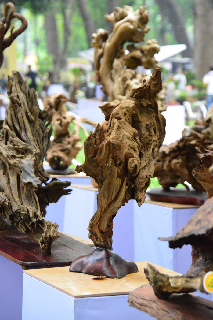 Hội Hoa Xuân TP HCM 2018: Ngất ngây trước kỳ hoa dị thảo - Ảnh 16. Hội Hoa Xuân TP HCM 2018: Ngất ngây trước kỳ hoa dị thảo - Ảnh 16.
