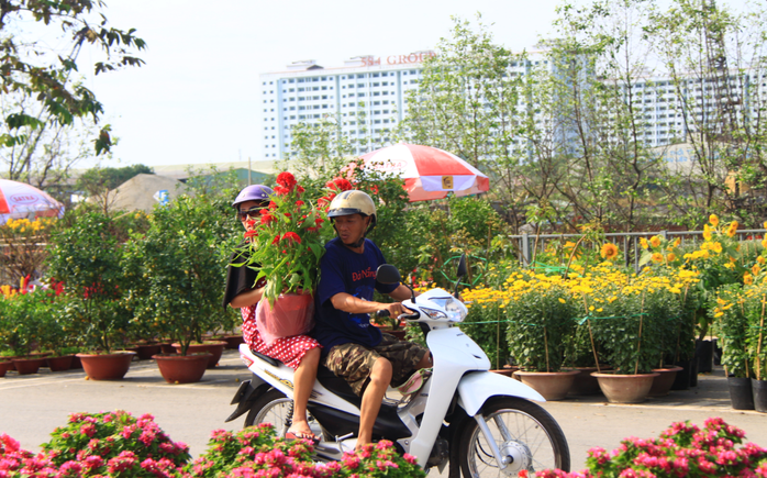 Khai mạc Chợ Hoa Xuân Bình Điền - Ảnh 5. Khai mạc Chợ Hoa Xuân Bình Điền - Ảnh 5.