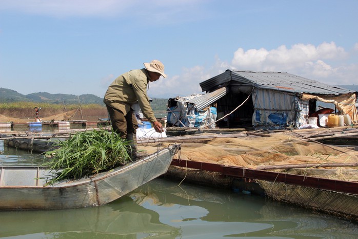 Tết không quê hương - Ảnh 4.