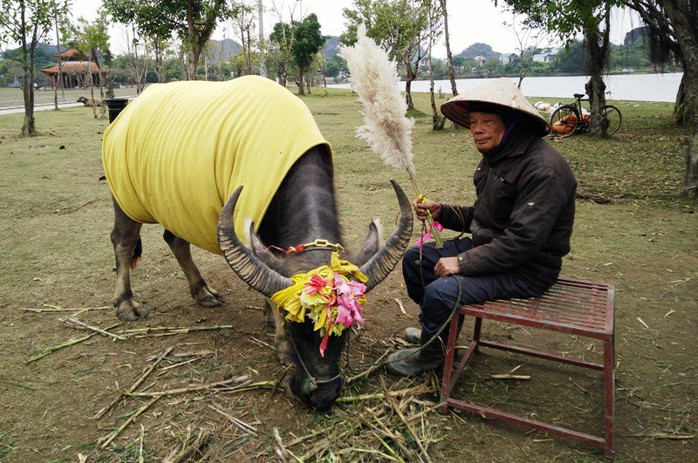 (Xuân online, 15.2. T30) Long sàng – Bảo vật quốc gia ở cố đô Hoa Lư - Ảnh 14.