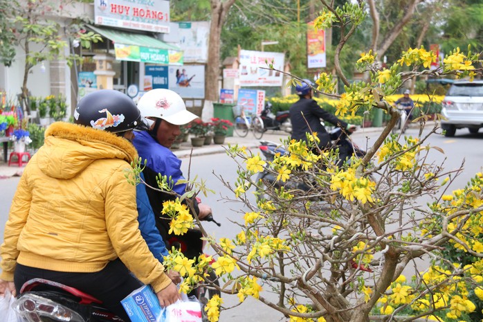  Hội An nhộn nhịp ngày giáp Tết - Ảnh 14.