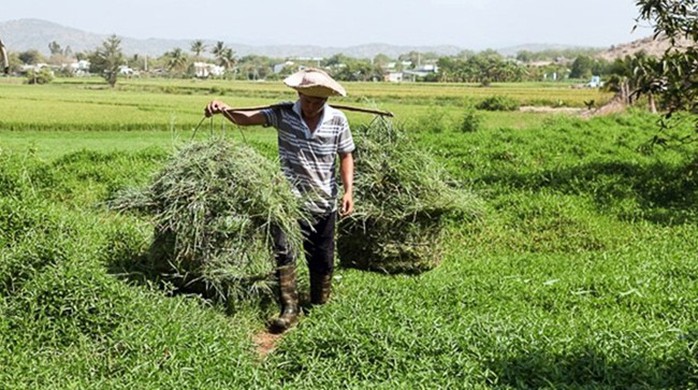 Vất vả mưu sinh cuối năm, rạng rỡ đón xuân mới - Ảnh 3.